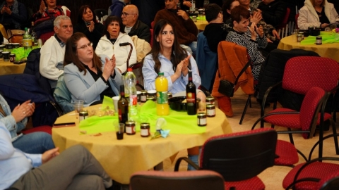 DSC02555 (Large)_1200x800.JPG