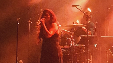 20250320_213223.jpg